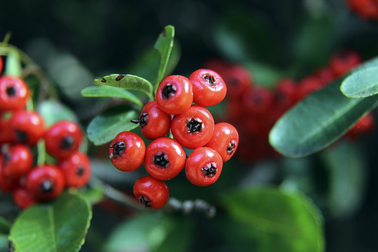 感受不同路 感受不同路