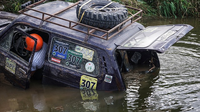 流派吸引著 流派吸引著